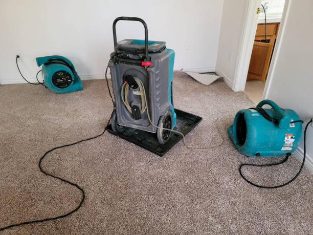 Best 24/7 water damage repair  in Circle D Kc Estates, TX