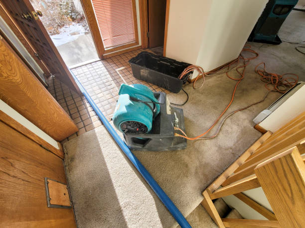Best Water damage restoration near me  in Circle D Kc Estates, TX
