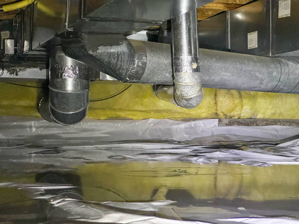 Best Mold removal after water damage  in Circle D Kc Estates, TX