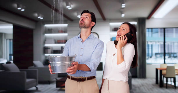 Best Water damage contractors near me  in Circle D Kc Estates, TX